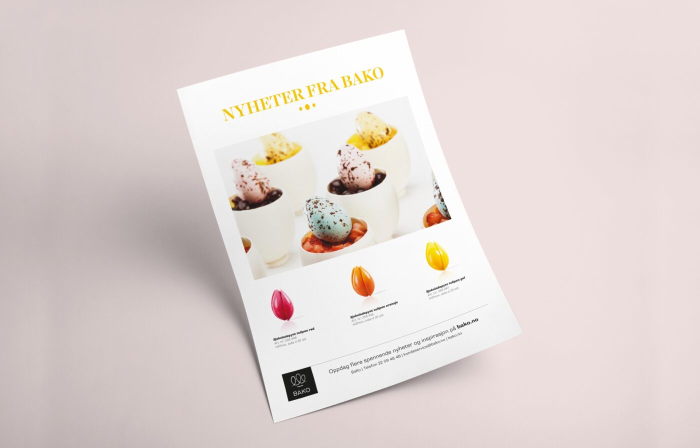 Design og trykk av flyer, Bako, Idun, Konsis