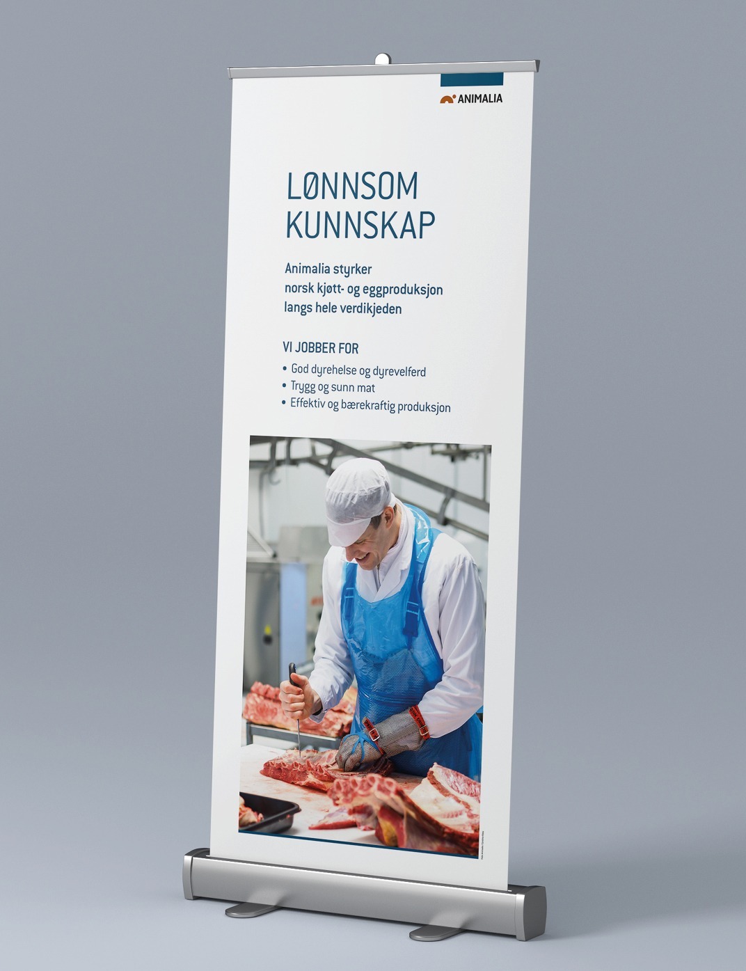 Animalia, konsis, rollup, design
