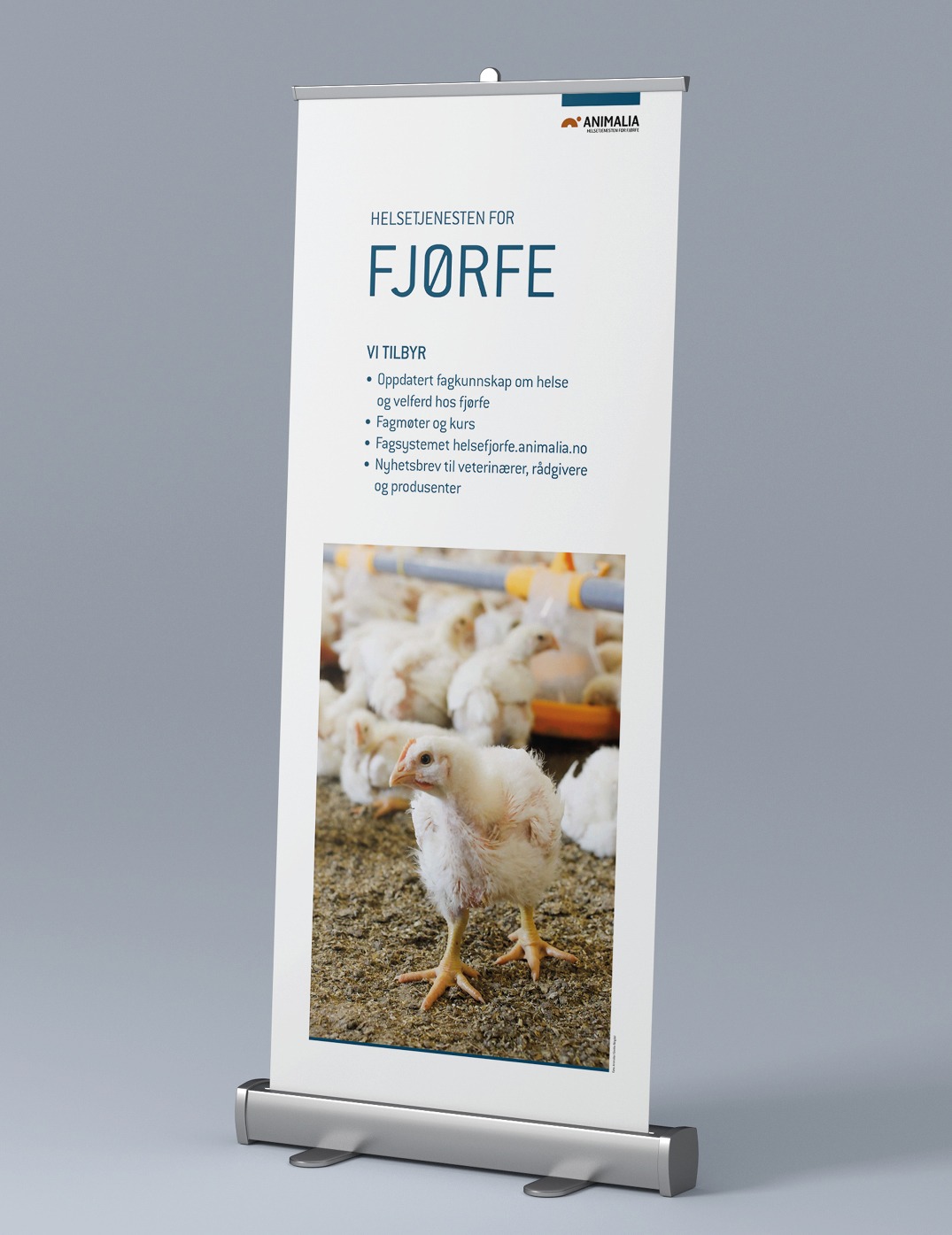 Animalia, konsis, rollup, design