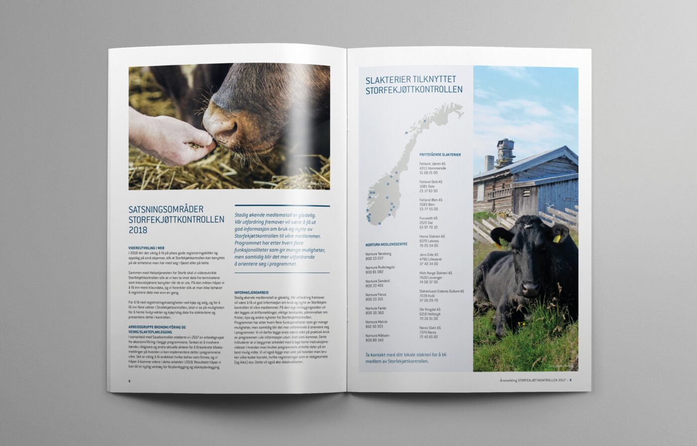Animalia, konsis, rapport